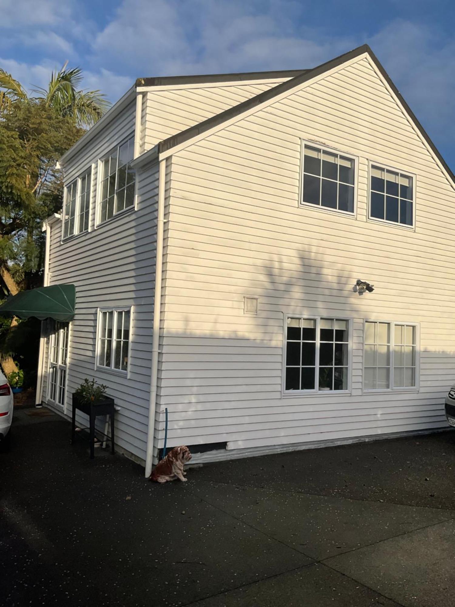 Takapuna Loft Auckland Eksteriør billede